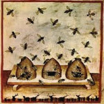 eHive Communities